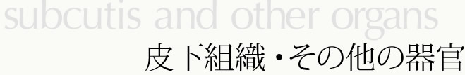 皮下組織・その他の器官