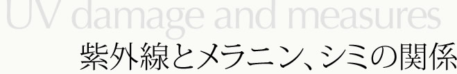 紫外線とメラニン、シミの関係