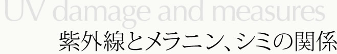 紫外線とメラニン、シミの関係