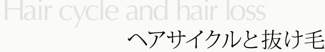 ヘアサイクルと抜け毛