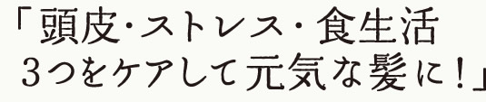 頭皮・ストレス・食生活、3つをケアして元気な髪に!