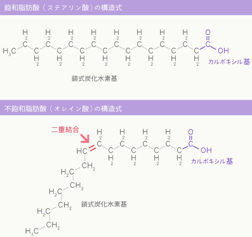 飽和脂肪酸と不飽和脂肪酸
の図