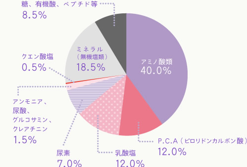 NMFの組成グラフ